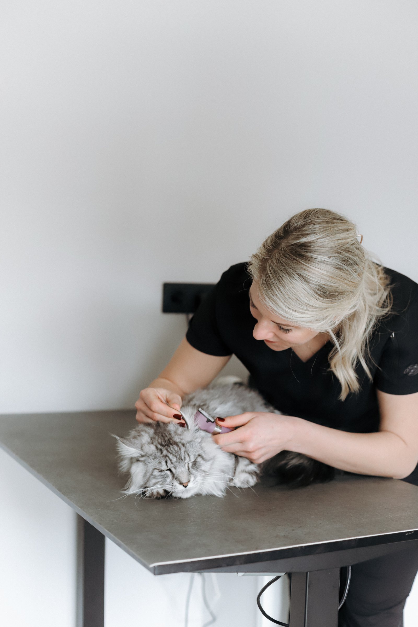 Veterinārs